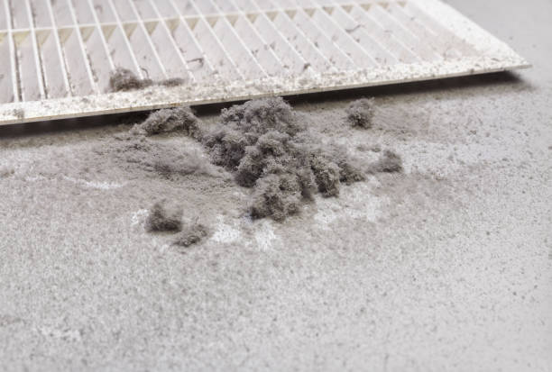 Best HVAC Duct Inspection Services  in West Melbourne, FL