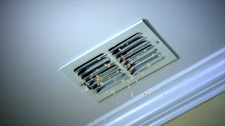 Best Ventilation Cleaning Services  in West Melbourne, FL